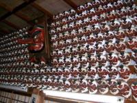 tengu wall