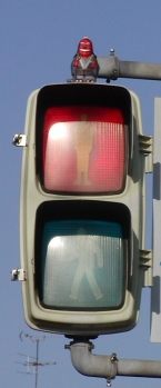 Tengu hanging out with his crosswalk signal buddies